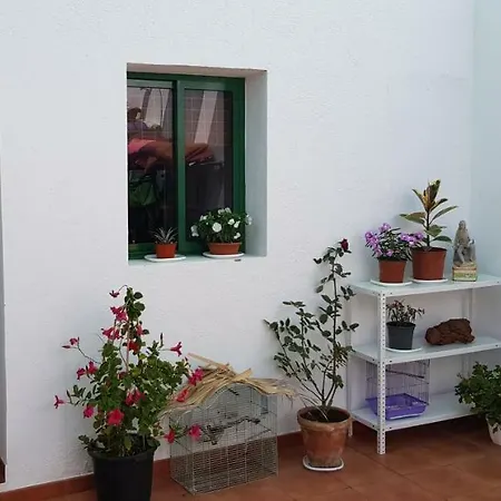 Campingplads Nomad Holiday Güimar